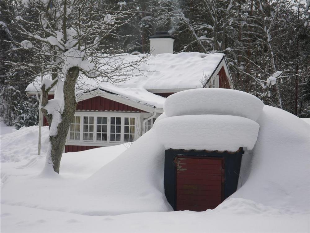 nkwinter.jpg