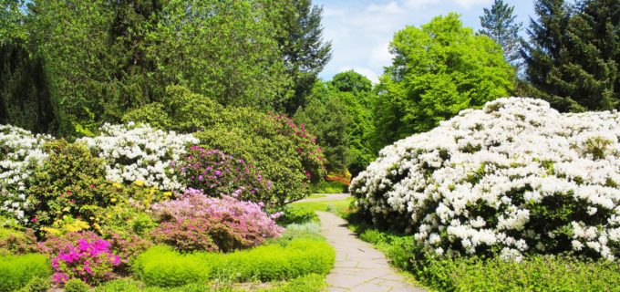 Warum ein Garten nicht gross genug sein kann