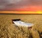 bed in a grain field - concept of good sleep
