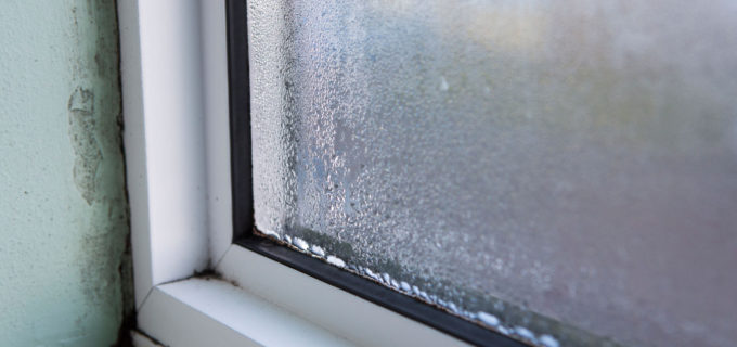 Kondenswasser: Was kann ich gegen feuchte Fenster tun?
