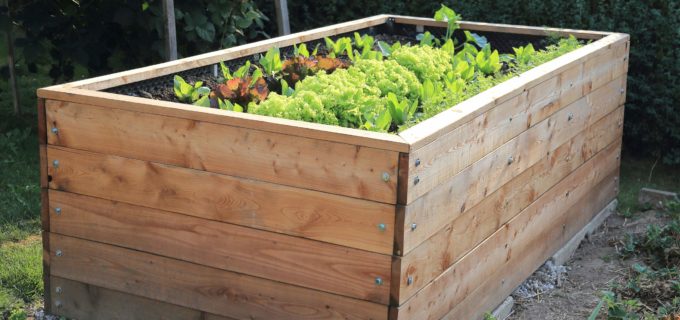 Ein Hochbeet bauen – Anleitung für Hobbygärtner