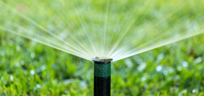 Sprinkleranlage im Garten verlegen – so geht es!