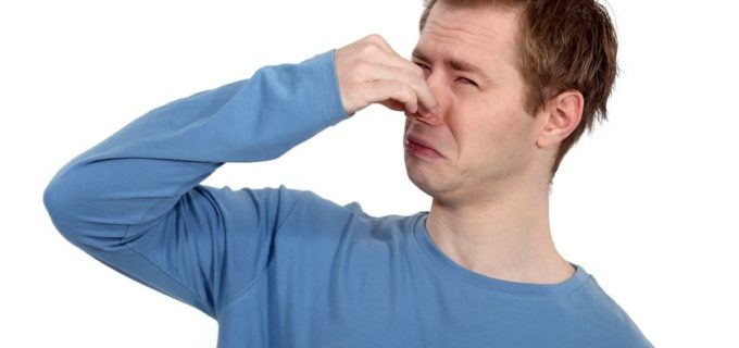 So entfernen Sie sämtliche Gerüche aus Ihrer Wohnung