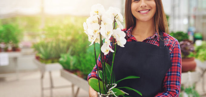 Orchideen Ratgeber: Richtig pflegen in Garten und Topf