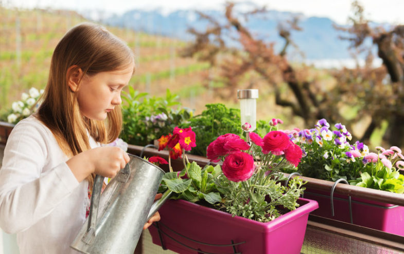 Kleines Mädchen giesst Balkonpflanzen.