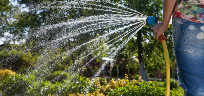 Automatische Gartenbewässerung planen – so geht’s