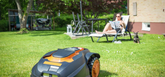 Die 10 besten Tipps für einen pflegeleichten Garten
