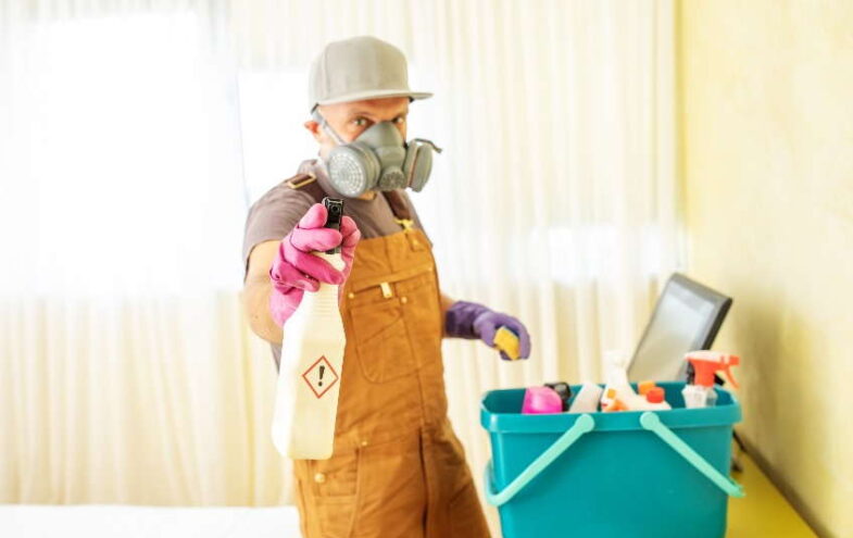 Welcher Handwerker ist für Schimmel zuständig