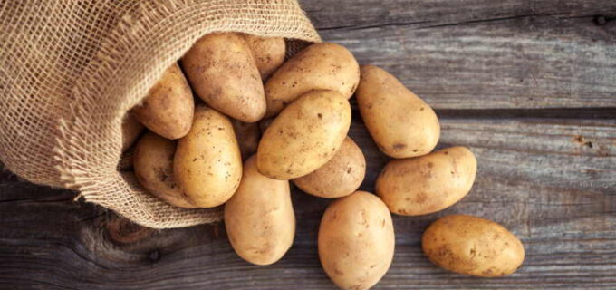 Kartoffeln Erika: Das müssen Sie wissen