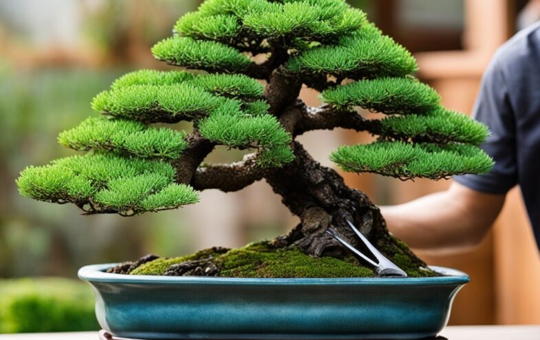 Bonsai-Formen und -Gestalten: Kreative Techniken