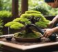 Bonsai-Pflege leicht gemacht: Tipps zum Gießen und Düngen