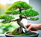 Bonsai für Innenräume: Die besten Tipps zur Pflege