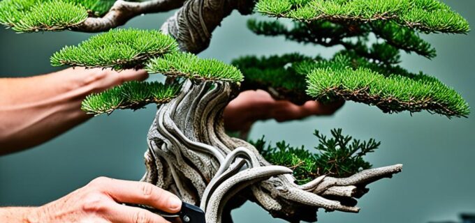 Bonsai schneiden und drahten: So geht’s richtig