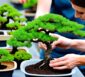 Der erste Bonsai: Anleitung für Anfänger