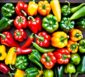 Peperoni und Paprika