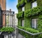 efeu auf balkon