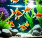 goldfisch halten