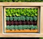 Hochbeet welches Holz