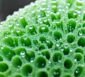 Luffa Schwämm