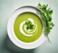 bärlauchsuppe rezept ohne kartoffel