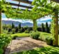 pergola kiwi